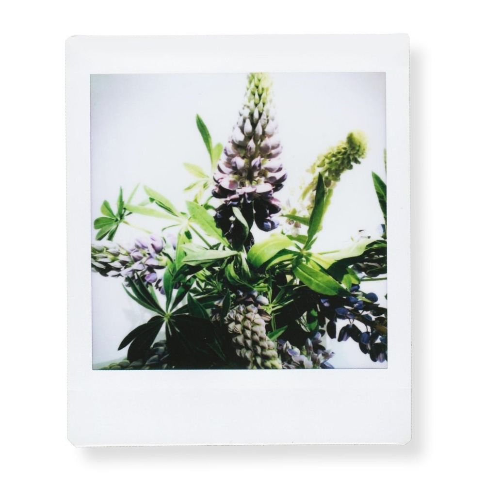 Fujifilm Instax Filme Quadrado - Instant Film Pack avaliação e preço